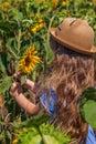 Adorable little girl in straw hat, blue plaid summer dress in a field countryside. Child with long hair smells sunflower Royalty Free Stock Photo