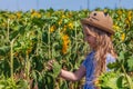 Adorable little girl in straw hat, blue plaid summer dress in a field countryside. Child with long hair smells sunflower. Royalty Free Stock Photo