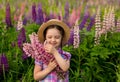 Cute girl in a straw hat and a purple plaid shirt holds a large bouquet of wild flowers. lupine field Royalty Free Stock Photo