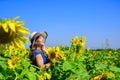 Cute girl in straw hat walking sunflowers farm, natural cosmetics