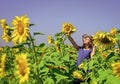 Cute girl in straw hat walking sunflowers farm, producing oil