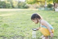 Cute girl using magnifying glass to look at bugs in glass jars Learn to use science-related observations Royalty Free Stock Photo