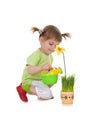 Cute girl watering flower Royalty Free Stock Photo