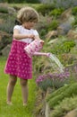 Cute girl watering flower in the garden Royalty Free Stock Photo