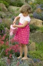 Cute girl watering flower in the garden Royalty Free Stock Photo