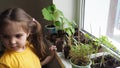 Cute girl watering seedlings on the windowsill first spring flowers. home interior and decoration. Child taking care of Royalty Free Stock Photo