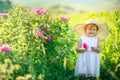 Cute girl wearing hat and white dress stand in the pink flower field of Sunn Hemp Crotalaria Juncea Royalty Free Stock Photo