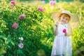 Cute girl wearing hat and white dress stand in the pink flower field of Sunn Hemp Crotalaria Juncea Royalty Free Stock Photo