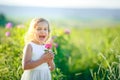 Cute girl wearing hat and white dress stand in the pink flower field of Sunn Hemp Crotalaria Juncea Royalty Free Stock Photo