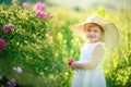 Cute girl wearing hat and white dress stand in the pink flower field of Sunn Hemp Crotalaria Juncea Royalty Free Stock Photo