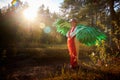 Cute girl in white dress, red scarf, male hat and green wings in nature landscape on sunny autumn. Model poses in green Royalty Free Stock Photo