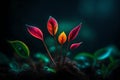 cute glowing small plant in dark jungle setting.highly realistic 3D fantasy with glowing effect Royalty Free Stock Photo