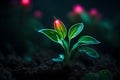cute glowing small plant in dark jungle setting.highly realistic 3D fantasy with glowing effect Royalty Free Stock Photo