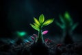 cute glowing small plant in dark jungle setting.highly realistic 3D fantasy with glowing effect Royalty Free Stock Photo