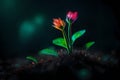 cute glowing small plant in dark jungle setting.highly realistic 3D fantasy with glowing effect Royalty Free Stock Photo