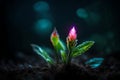 cute glowing small plant in dark jungle setting.highly realistic 3D fantasy with glowing effect Royalty Free Stock Photo