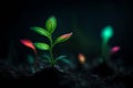 cute glowing small plant in dark jungle setting.highly realistic 3D fantasy with glowing effect Royalty Free Stock Photo