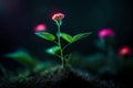 cute glowing small plant in dark jungle setting.highly realistic 3D fantasy with glowing effect Royalty Free Stock Photo