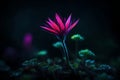 cute glowing small plant in dark jungle setting.highly realistic 3D fantasy with glowing effect Royalty Free Stock Photo