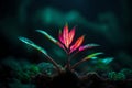 cute glowing small plant in dark jungle setting.highly realistic 3D fantasy with glowing effect Royalty Free Stock Photo