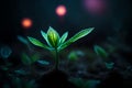 cute glowing small plant in dark jungle setting.highly realistic 3D fantasy with glowing effect Royalty Free Stock Photo