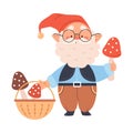 Cute Gnome Character with White Beard in Pointy Hat Picking Mushrooms in Basket Vector Illustration