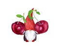 Cute gnome with cherry berries. Watercolor with summer fruit, hand painted image