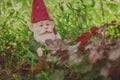 Cute gnome garden model Royalty Free Stock Photo