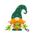 A cute gnome holds a garland with clover leaves in his hands. Elf with red beard and mustache. Irish dwarf in a stocking