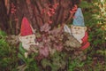 Cute gnomes garden model, gardener with scissors Royalty Free Stock Photo