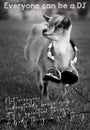 A cute Goat with Headphones on a grass field, with a phrase `Everyone Can be a DJ`.