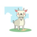 Cute Goat