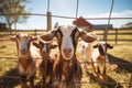 Cute goats inside of paddock at farm villa. Generate AI