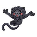 Cute goeldi`s monkey cartoon posing