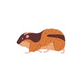 Cute going lemming tundra animal side view flat style