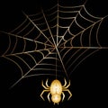 Cute gold spider. Halloween spider\'s web