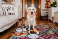 cute golden retriever dog at home. Healthy breakfast besides with tea, fruits and sweets Royalty Free Stock Photo