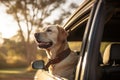 Cute golden retriever dog sitting in car ready for a vacation trip Royalty Free Stock Photo