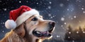 Cute golden retriever dog wearing red Santa Claus hat outside in the falling snow. Christmas and seasons greetings Royalty Free Stock Photo