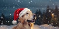 Cute golden retriever dog wearing red Santa Claus hat outside in the falling snow. Christmas and seasons greetings Royalty Free Stock Photo