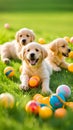 Cute golden retriever puppies playing with toys and balls on a grassy lawn illustration Artificial Intelligence artwork generated Royalty Free Stock Photo