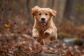 Cute Golden Retriever Puppy Fly in Air During a Playful Jump extreme closeup. Generative AI