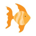 Cute goldfish in flat style on a white background.A fish that fulfills desires.Print for the design of t-shirts, products for