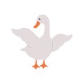 Cute goose. Hand drawn grey duck on farm. Domestic fowl. Vector illustration in flat cartoon style. Agriculture bird