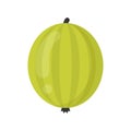 Cute gooseberry fruit, isolated colorful vector icon