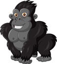 Cute gorilla isolated on white background