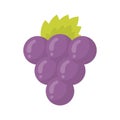 Cute grape fruit, isolated colorful vector icon