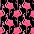 Cute graphic flamingo pattern