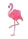 Cute graphic flamingo Royalty Free Stock Photo