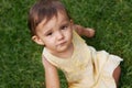 Cute, grass and portrait of girl baby having fun and playing in backyard, park or garden. Nature, sweet and kid, infant Royalty Free Stock Photo